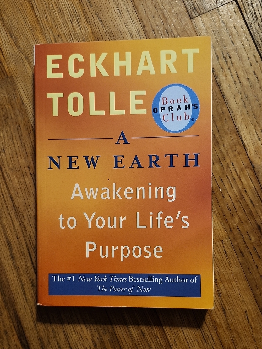 Eckhart Tolle - A New Earth - Awakening Your Life's Purpose.